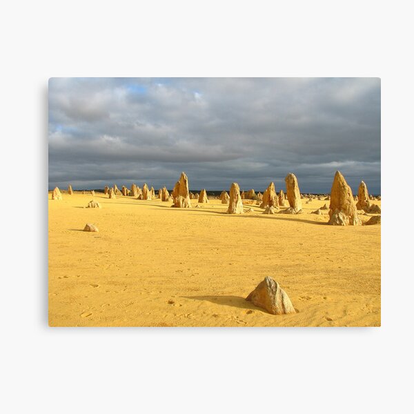 The Pinnacles Western Australia Canvas Print
