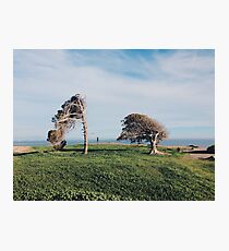 dos Photographic Print