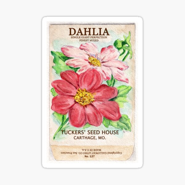 Dahlia Seed Packet Sticker