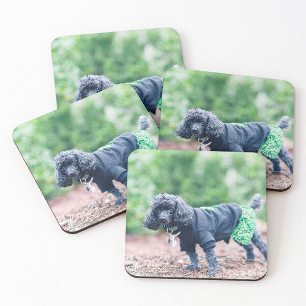 Item preview, Black and grey poodles designed and sold by KensLensDesigns.