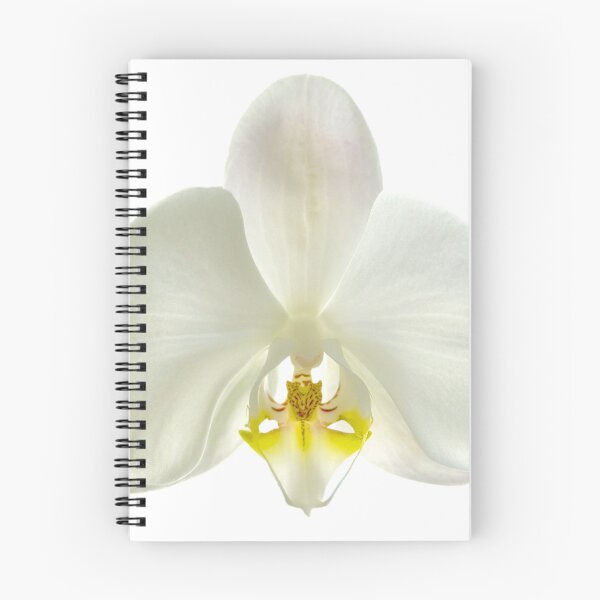 Item preview, WHITE ORCHID designed and sold by acellis13.
