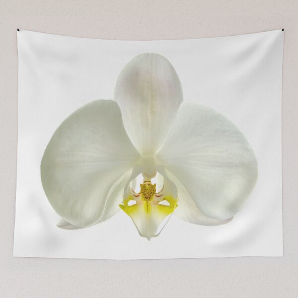 Item preview, WHITE ORCHID designed and sold by acellis13.