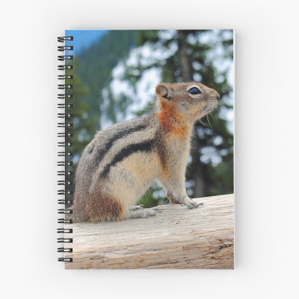 Item preview, Chipmunk in Banff Alberta in Canada designed and sold by AndyEvansPhotos.