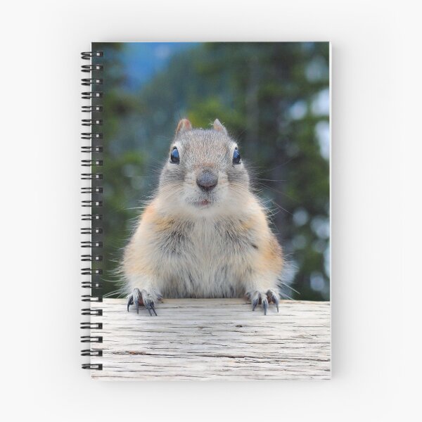 Item preview, Chipmunk in Banff Alberta in Canada designed and sold by AndyEvansPhotos.