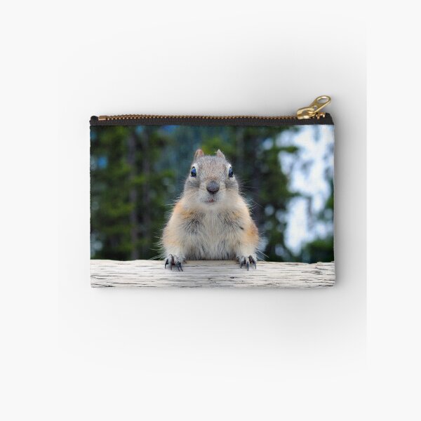 Item preview, Chipmunk in Banff Alberta in Canada designed and sold by AndyEvansPhotos.
