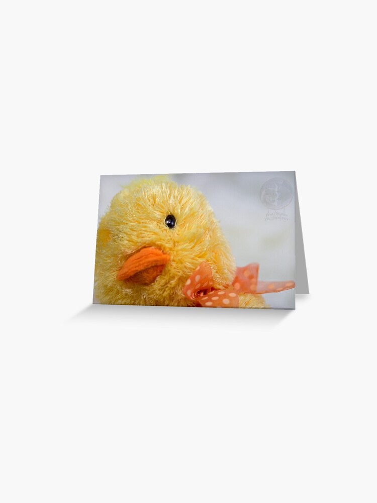 cute stuffed duck