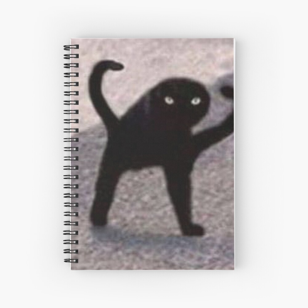 ✧確認用✧blue meme cat✧signature note book✧ sn,x1000-pad,750x1000,f8f8f8.