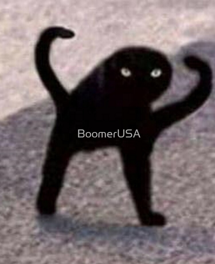 Cat Meme Ipad Case Skin By Boomerusa Redbubble - pepe roblox meme ipad caseskin by boomerusa