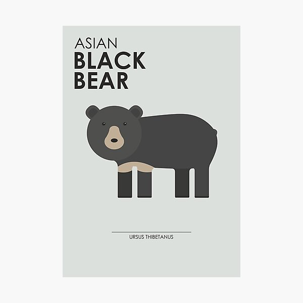 Artikelvorschau, Asiatischer Schwarzbär entworfen und verkauft von TM3A.