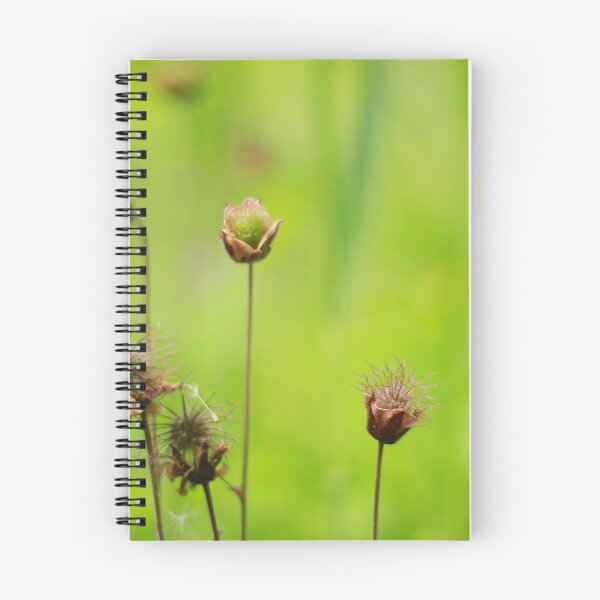 Item preview, Aven meadow designed and sold by miradorpictures.