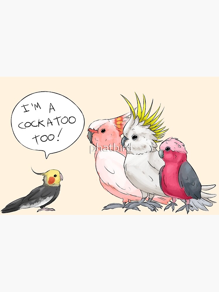 Cockatoo sales and cockatiel