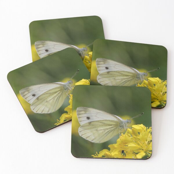 Item preview, Veined White on Brassica designed and sold by cuprum.