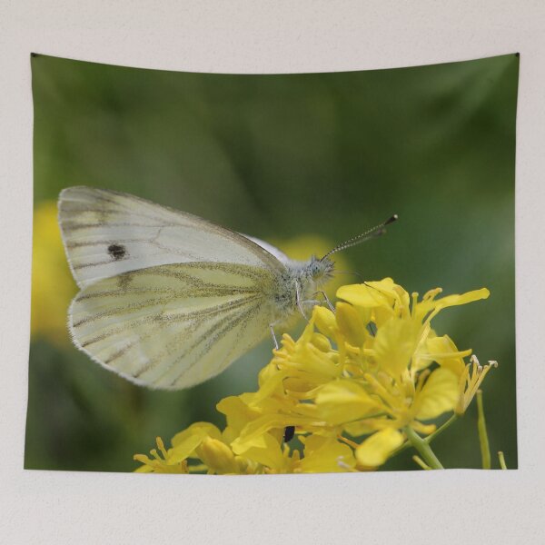 Item preview, Veined White on Brassica designed and sold by cuprum.