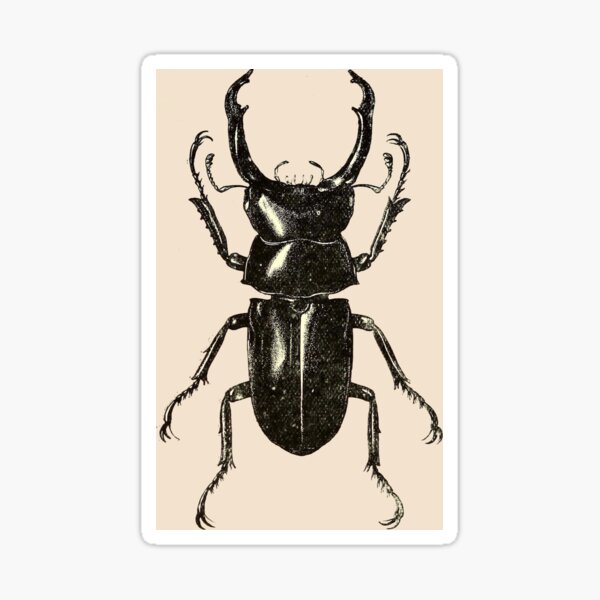 Item preview, Stag Beetle pattern designed and sold by Vintage Designs +.