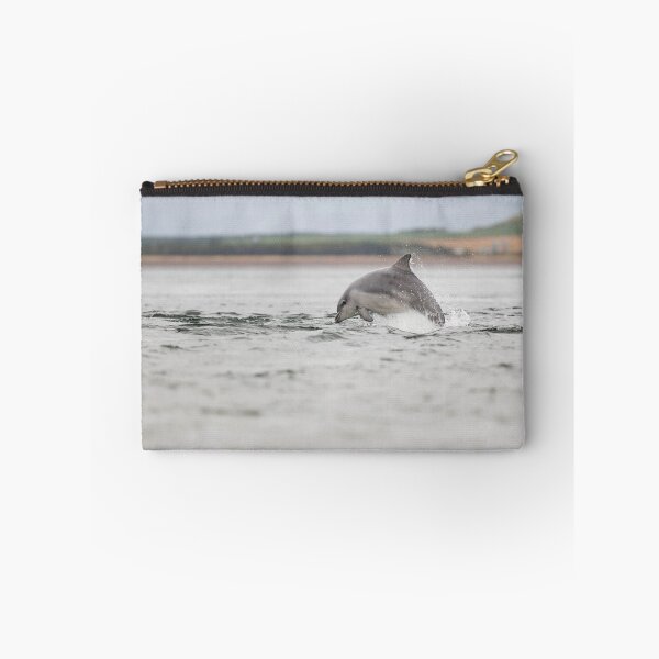 Item preview, Playful young dolphin designed and sold by chanonry.