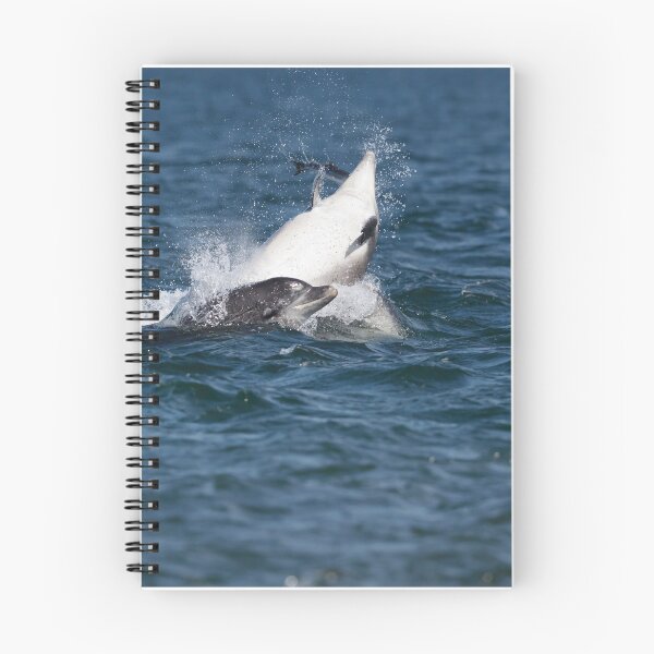 Item preview, Playful young dolphin designed and sold by chanonry.