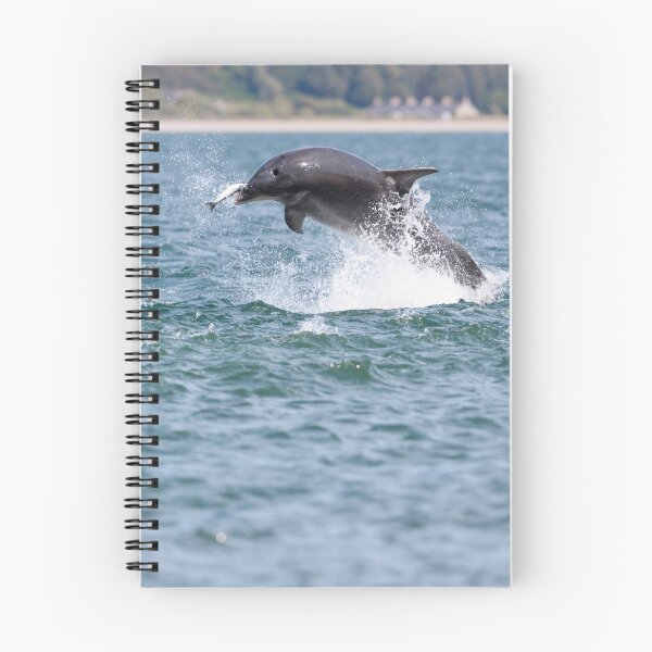 Item preview, Playful young dolphin designed and sold by chanonry.