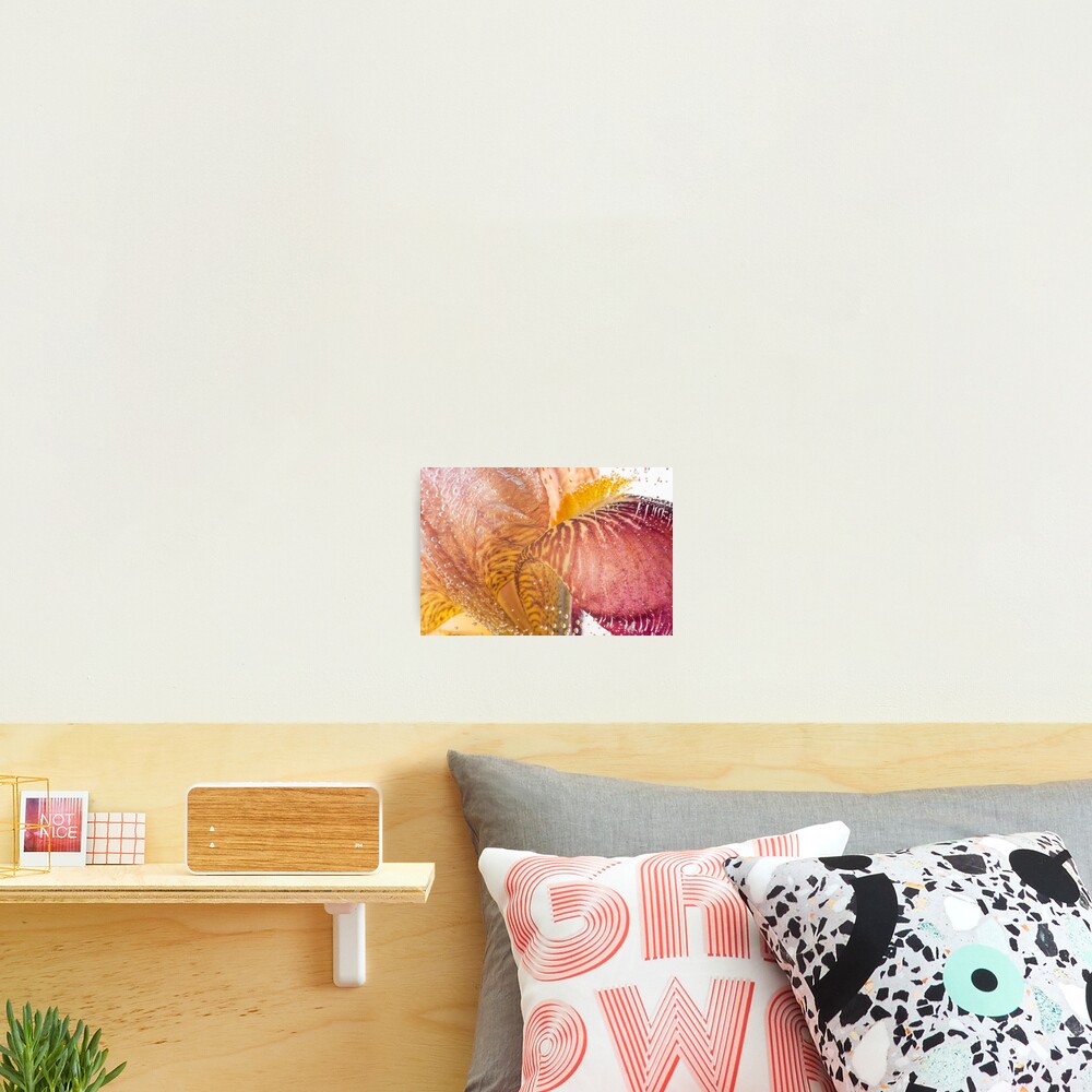 Item preview, Photographic Print designed and sold by Frozen-Spring.