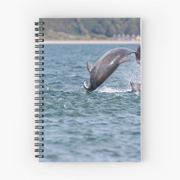 Item preview, Copy of Playful young dolphin designed and sold by chanonry.