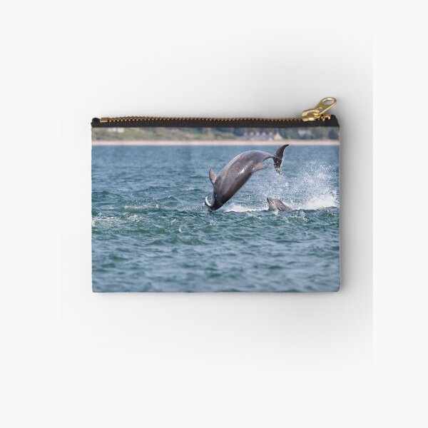 Item preview, Copy of Playful young dolphin designed and sold by chanonry.
