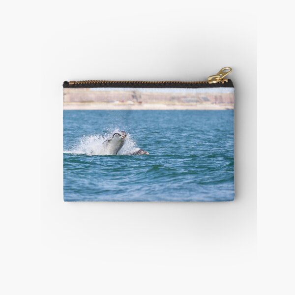 Item preview, Playful young dolphin designed and sold by chanonry.