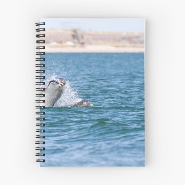 Item preview, Playful young dolphin designed and sold by chanonry.