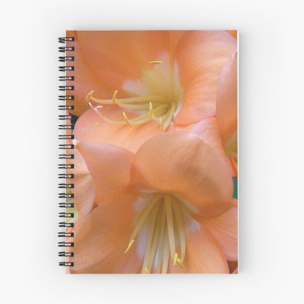 Item preview, clivia II designed and sold by Floralynne.