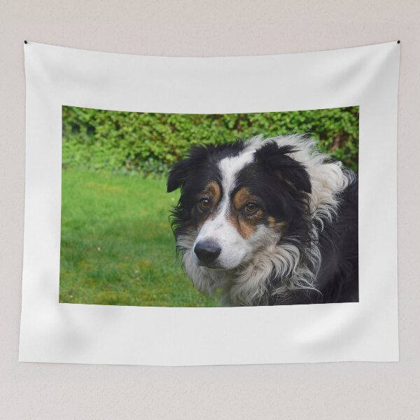 Item preview, Always Laddie. designed and sold by Michael Haslam.