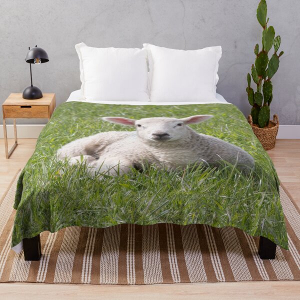 Item preview, Spring little lamb designed and sold by HaleyRedshaw.