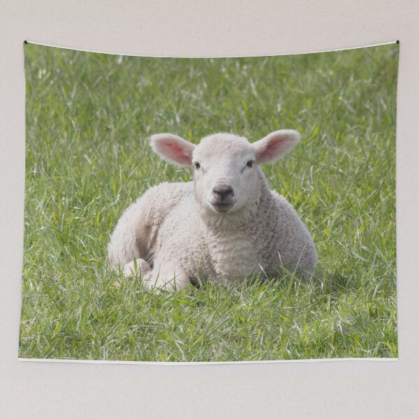 Item preview, Spring little lamb designed and sold by HaleyRedshaw.
