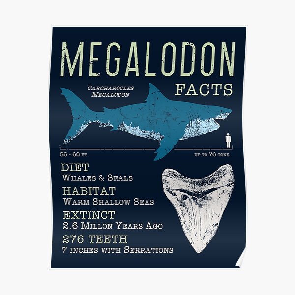 Megalodon Posters for Sale | Redbubble Megalodon Posters for Sale | Redbubble