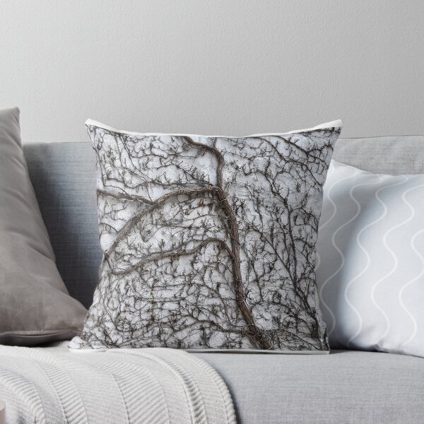 Item preview, ivy in retreat designed and sold by SRosuphotos.