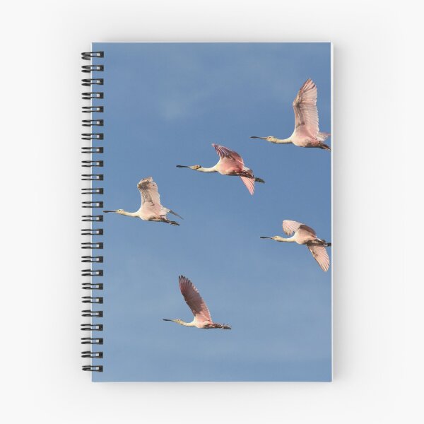 Item preview, Spoonbills and a Pelican designed and sold by Susan Wallace.