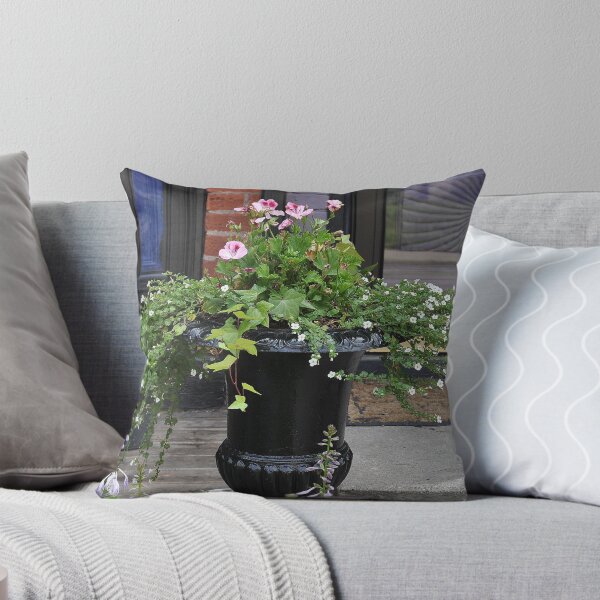 Item preview, poted greater designed and sold by SRosuphotos.