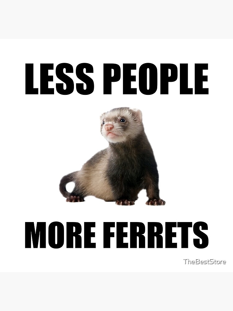 Funny ferrets best sale