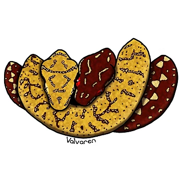 Artwork thumbnail, Green Tree python Sticker by Valvaren