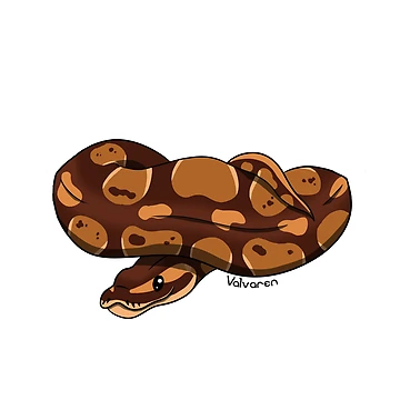 Artwork thumbnail, Normal Ball Python Sticker by Valvaren