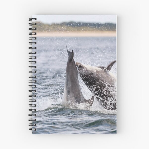 Item preview, The leaping dolphin designed and sold by chanonry.