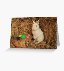 Vauxhall City Farm - Easter Bunny (Quinn) Greeting Card