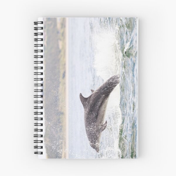 Item preview, The leaping dolphin designed and sold by chanonry.