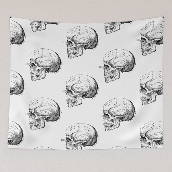 Item preview, Human Skull Anatomy designed and sold by Wannabe Art.