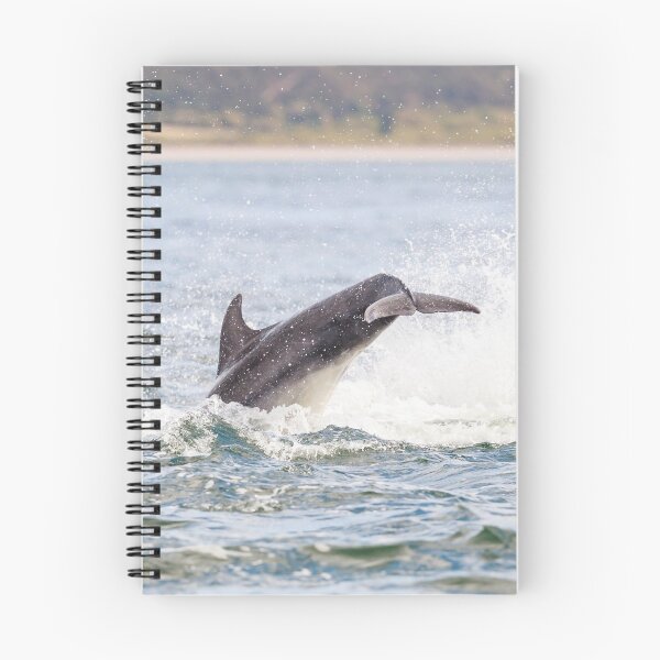 Item preview, The leaping dolphin tail designed and sold by chanonry.