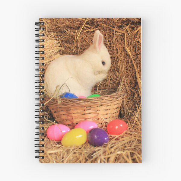 Item preview, Vauxhall City Farm - Easter Rabbit Wide (Quinn) designed and sold by VauxhallFarm.
