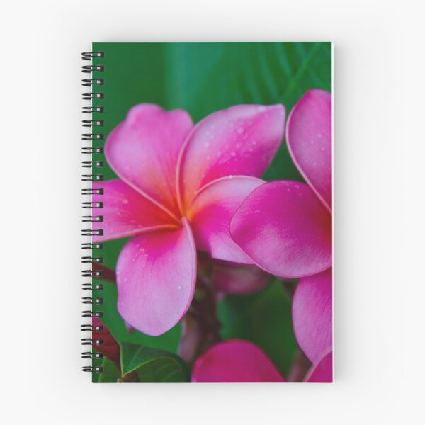 Item preview, Pink Plumeria 1073 designed and sold by AnkhaDesh.