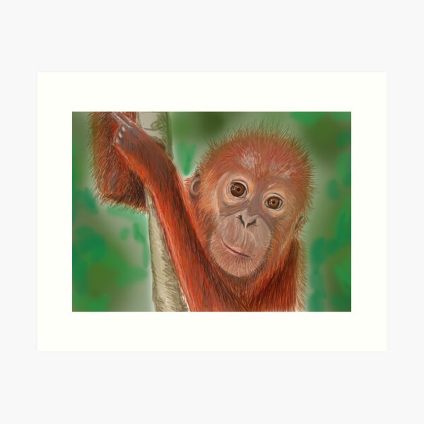 Baby Orangutan Art Print