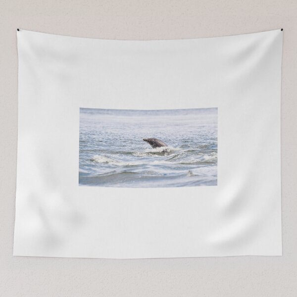 Item preview, The leaping dolphin designed and sold by chanonry.