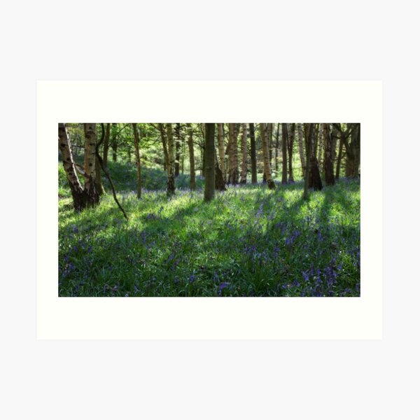 Springtime In Ilkley Art Print