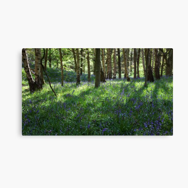 Springtime In Ilkley Canvas Print