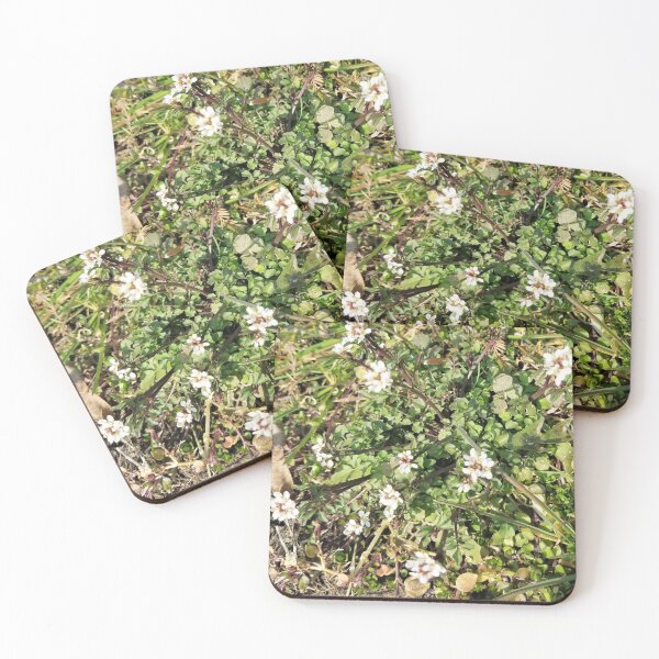 Item preview, Weeds, but also flowers? designed and sold by MooseDogPhotos.