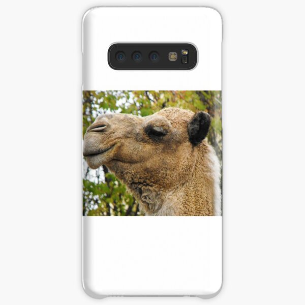 hey_mike Samsung Galaxy Snap Case